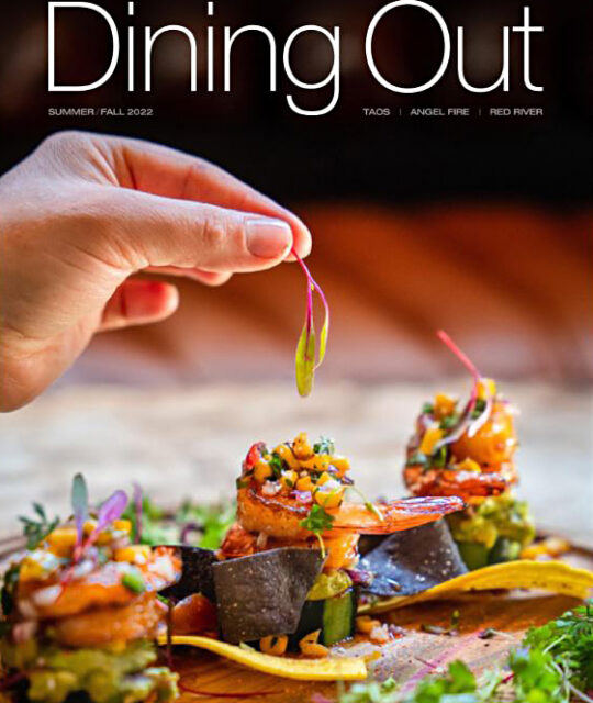 Dining Out guide cover