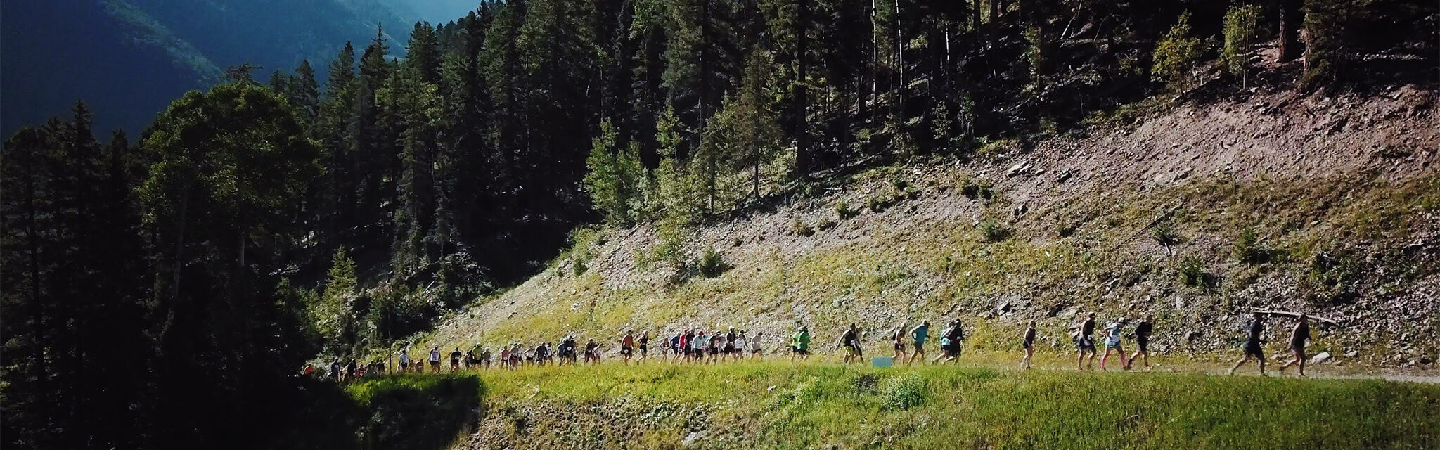 A line of trail runners ascend a hill on a mountain course.