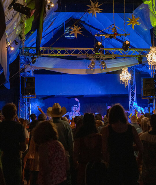 Band and audience enjoying a live music Daleee Productions concert.