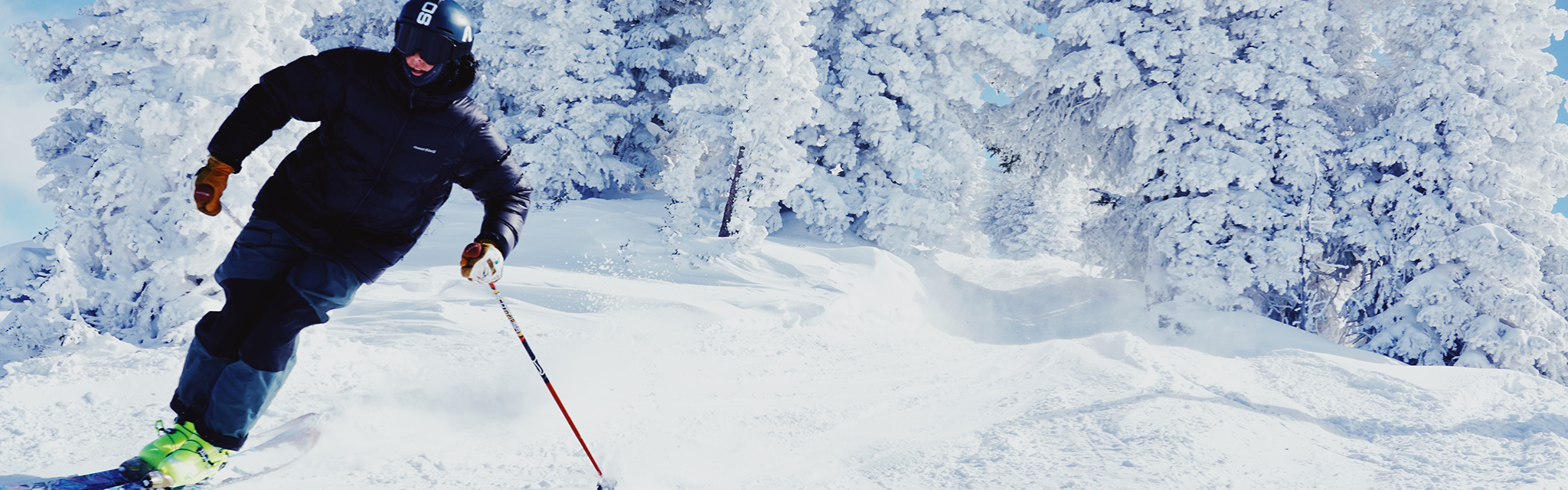 A lone skier dressed in black moves past the camera on a white powder day.
