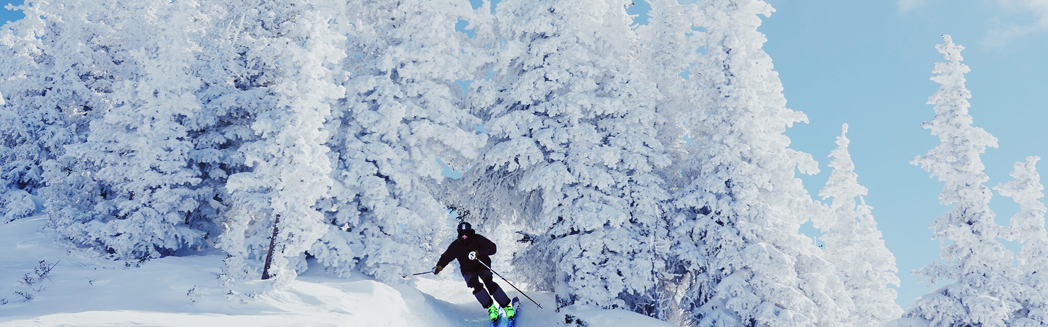 A skier exits a completely white, snow covered grove of trees.