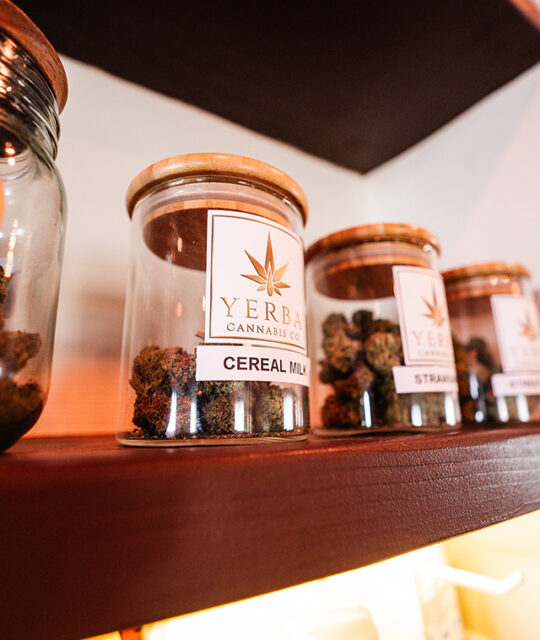 Yerba Cannabis display