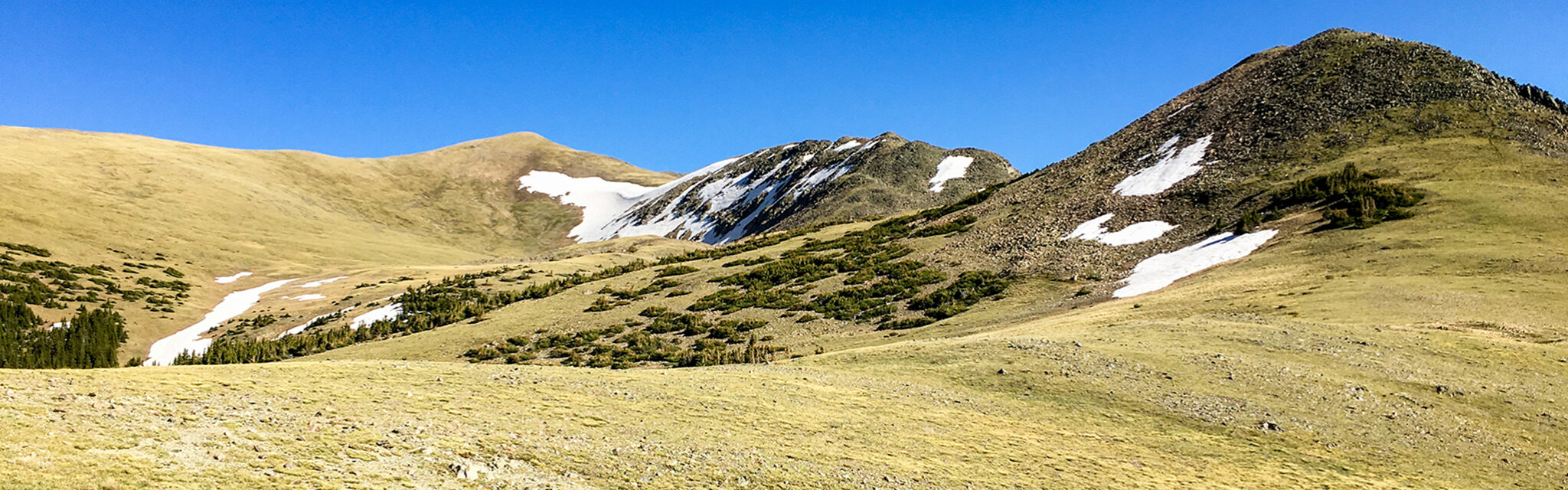 A wide open alpine meadow above treeline with snow patches in the distant hills.