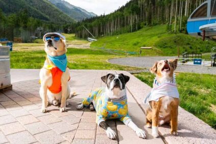 Mutt Strut 5k Dog Fun Run & Walk