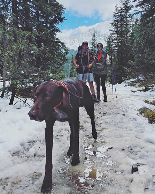 Spring hikers and dog on snowy trail.