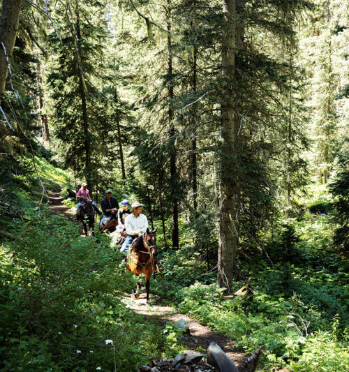 A group of horse riders walk down a forested path next to a mountain stream.