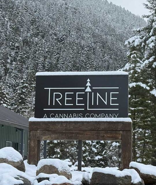 TreeLine Cannabis sign in the snow.
