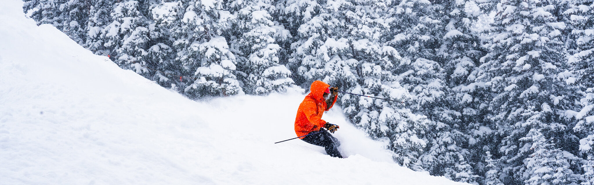 A solo skier wearing a cherry red jacket skis through deep powder.