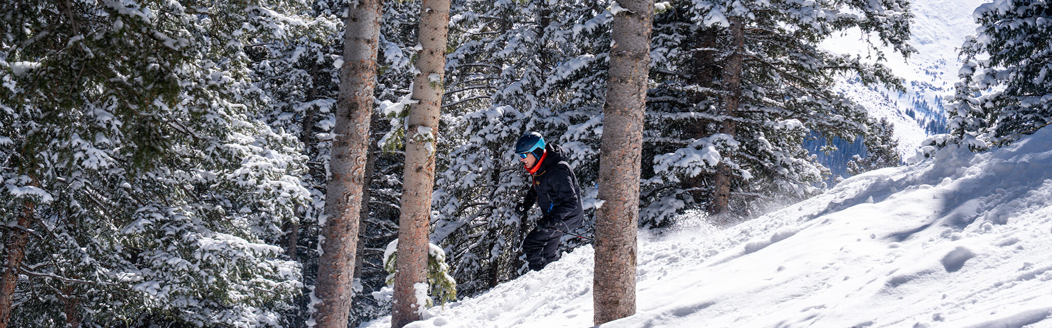 A lone skier navigates through thick snow between a stand of trees.