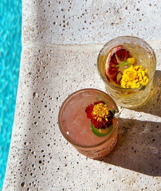 Two cocktails with edible flowers sitting next to the pool at Hotel Willa.