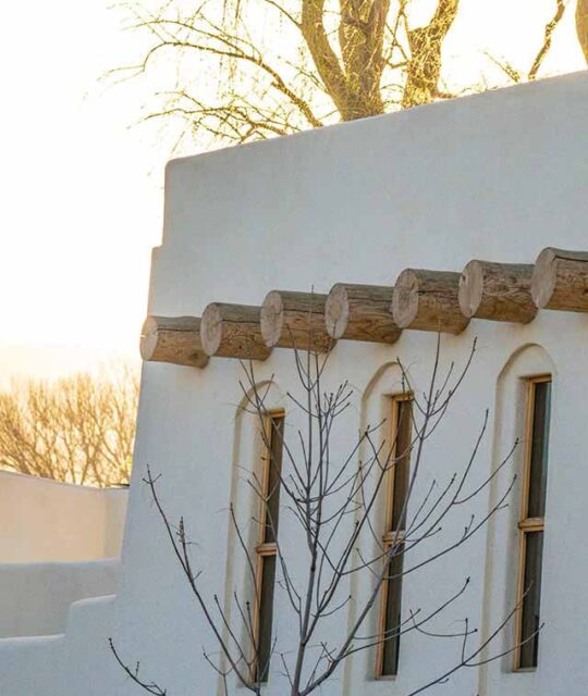 Viga tails over a row of windows in Southwest architecture.