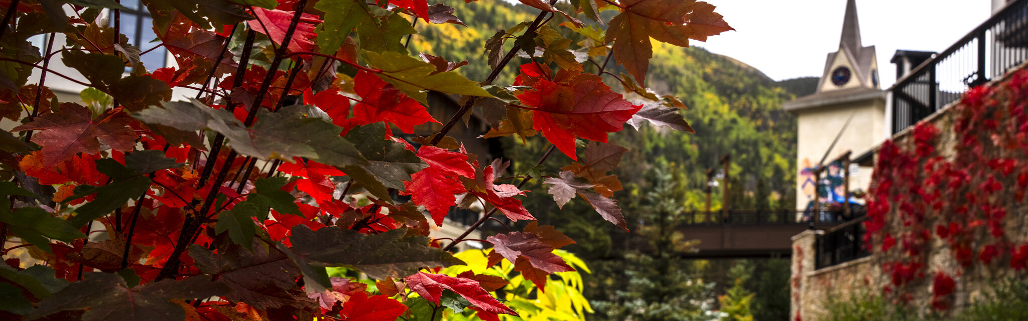 Brilliant red leaves sit in the foreground of a gravel path leading to a tower.