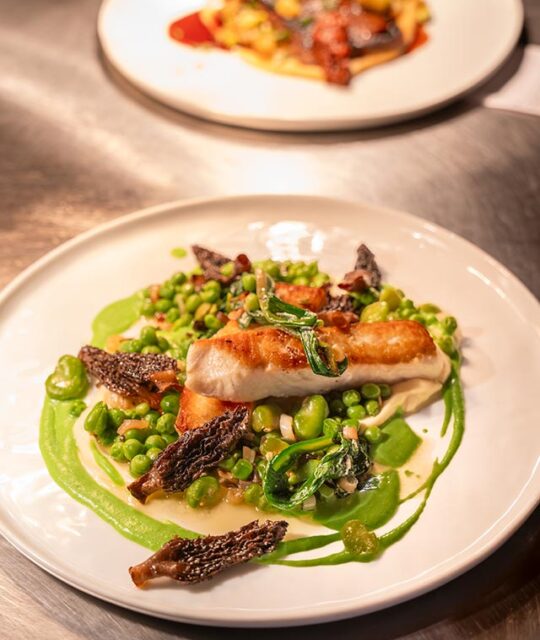 Alaskan Halibut from SUCHNESS