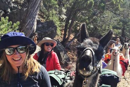 Wild Earth Llama Adventures