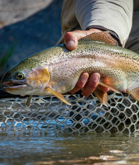 Fly fishing with Ramblin' Fly Fishing.