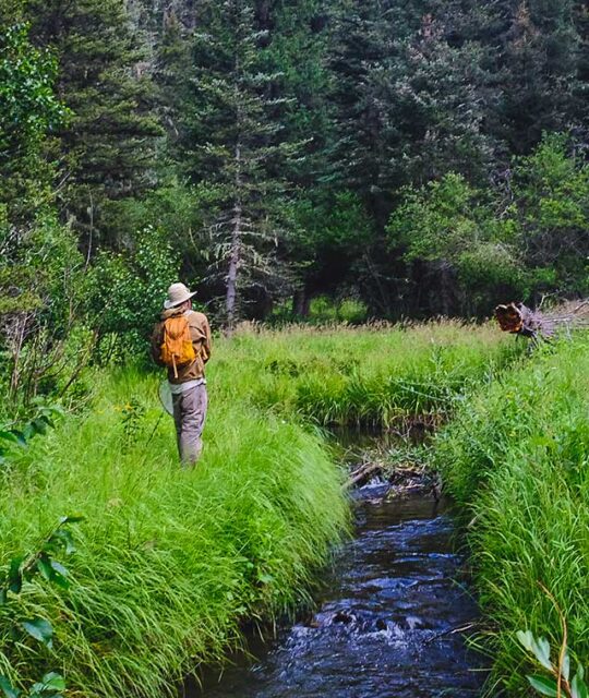 Stream fishing in a beautiful location in New Mexico.