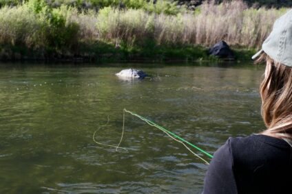 Fly Fishing in Taos Ski Valley: The Best Rivers, Lakes & Guided Trips Near Taos