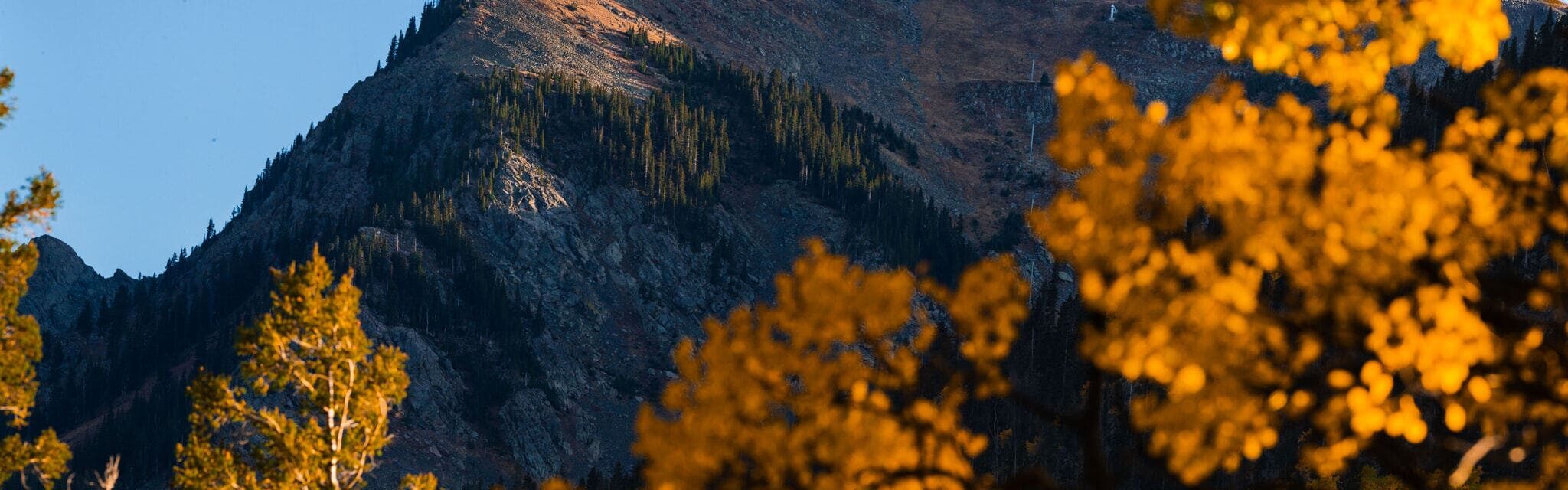 Mountain with trees